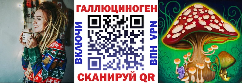 KRAKEN онион  Олонец  Галлюциногенные грибы Psilocybe 